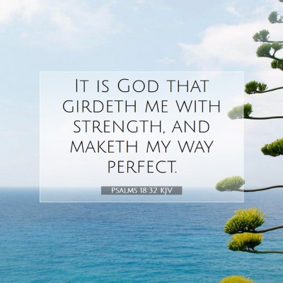 Picture 07 - Psalms 18:32 KJV - It is God that girdeth me with strength, and - Bible Verse Picture