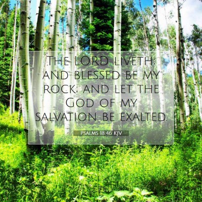 Picture 07 - Psalms 18:46 KJV - The LORD liveth; and blessed be my rock; and let - Bible Verse Picture