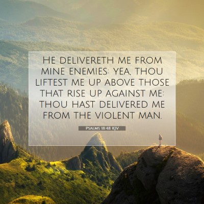 Picture 07 - Psalms 18:48 KJV - He delivereth me from mine enemies: yea, thou - Bible Verse Picture