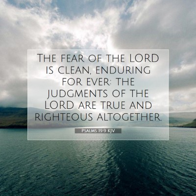 Picture 07 - Psalms 19:9 KJV - The fear of the LORD is clean, enduring for ever: - Bible Verse Picture