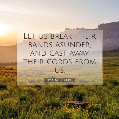 Picture 07 - Psalms 2:3 KJV - Let us break their bands asunder, and cast away - Bible Verse Picture