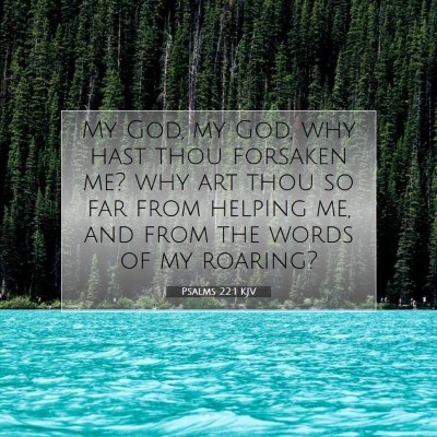 Picture 07 - Psalms 22:1 KJV - My God, my God, why hast thou forsaken me? why - Bible Verse Picture
