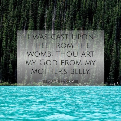 Picture 07 - Psalms 22:10 KJV - I was cast upon thee from the womb: thou art my - Bible Verse Picture