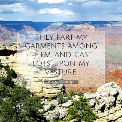 Picture 07 - Psalms 22:18 KJV - They part my garments among them, and cast lots - Bible Verse Picture