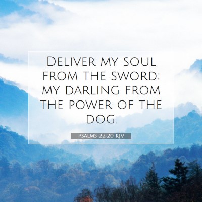 Picture 07 - Psalms 22:20 KJV - Deliver my soul from the sword; my darling from - Bible Verse Picture