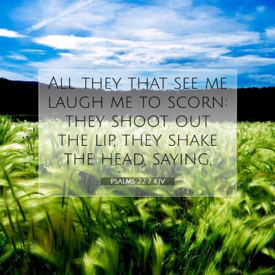 Picture 07 - Psalms 22:7 KJV - All they that see me laugh me to scorn: they - Bible Verse Picture