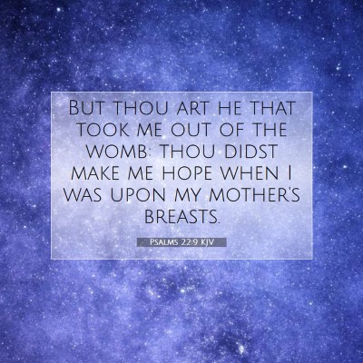 Picture 07 - Psalms 22:9 KJV - But thou art he that took me out of the womb: - Bible Verse Picture