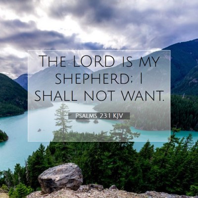 Picture 07 - Psalms 23:1 KJV - The LORD is my shepherd; I shall not - Bible Verse Picture
