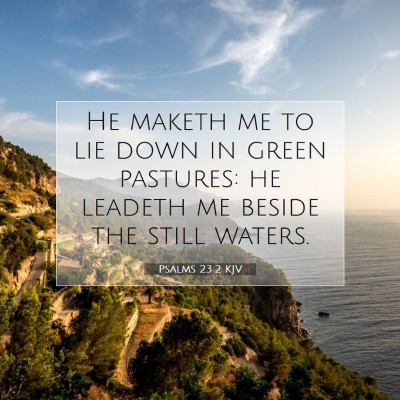 Picture 07 - Psalms 23:2 KJV - He maketh me to lie down in green pastures: he - Bible Verse Picture