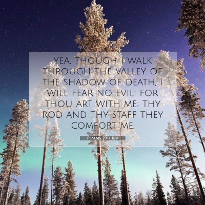 Picture 07 - Psalms 23:4 KJV - Yea, though I walk through the valley of the - Bible Verse Picture