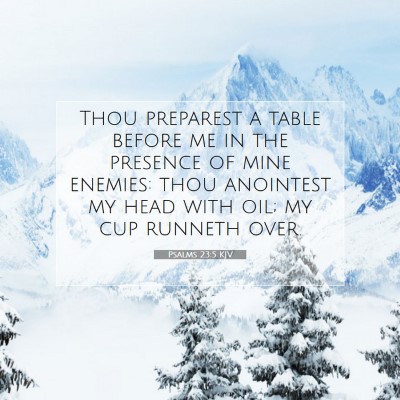 Picture 07 - Psalms 23:5 KJV - Thou preparest a table before me in the presence - Bible Verse Picture
