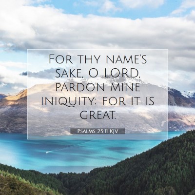 Picture 07 - Psalms 25:11 KJV - For thy name's sake, O LORD, pardon mine - Bible Verse Picture