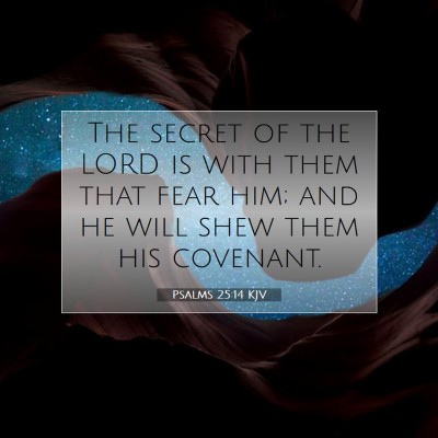 Picture 07 - Psalms 25:14 KJV - The secret of the LORD is with them that fear - Bible Verse Picture