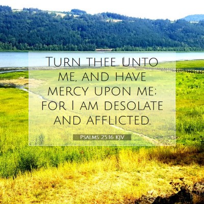 Picture 07 - Psalms 25:16 KJV - Turn thee unto me, and have mercy upon me; for I - Bible Verse Picture
