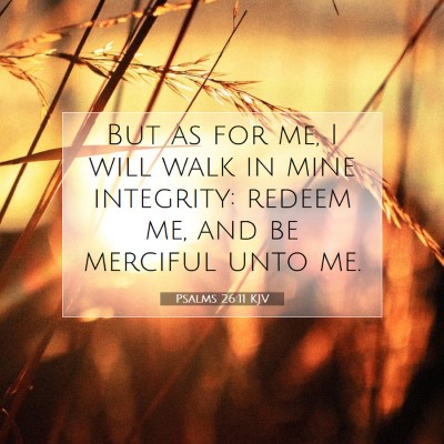 Picture 07 - Psalms 26:11 KJV - But as for me, I will walk in mine integrity: - Bible Verse Picture