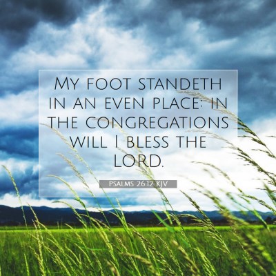 Picture 07 - Psalms 26:12 KJV - My foot standeth in an even place: in the - Bible Verse Picture