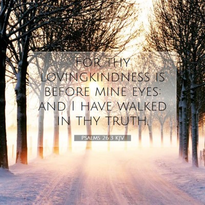 Picture 07 - Psalms 26:3 KJV - For thy lovingkindness is before mine eyes: and I - Bible Verse Picture