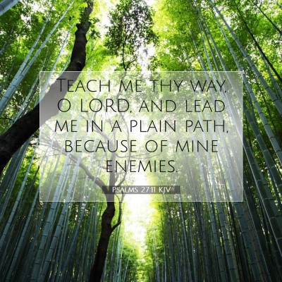 Picture 07 - Psalms 27:11 KJV - Teach me thy way, O LORD, and lead me in a plain - Bible Verse Picture