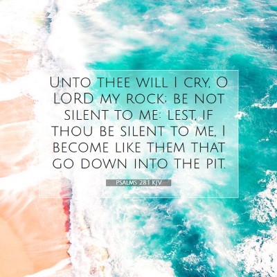 Picture 07 - Psalms 28:1 KJV - Unto thee will I cry, O LORD my rock; be not - Bible Verse Picture