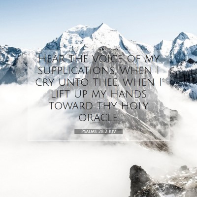 Picture 07 - Psalms 28:2 KJV - Hear the voice of my supplications, when I cry - Bible Verse Picture