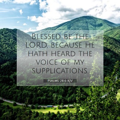Picture 07 - Psalms 28:6 KJV - Blessed be the LORD, because he hath heard the - Bible Verse Picture