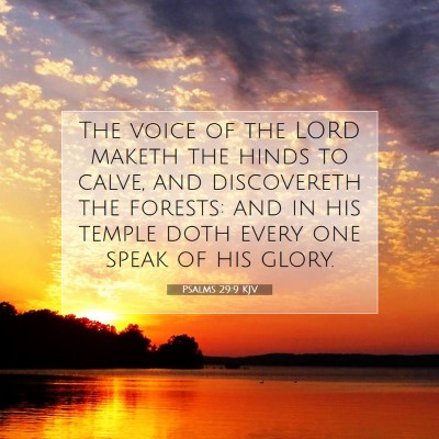 Picture 07 - Psalms 29:9 KJV - The voice of the LORD maketh the hinds to calve, - Bible Verse Picture