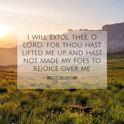 Picture 07 - Psalms 30:1 KJV - I will extol thee, O LORD; for thou hast lifted - Bible Verse Picture