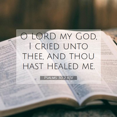 Picture 07 - Psalms 30:2 KJV - O LORD my God, I cried unto thee, and thou hast - Bible Verse Picture