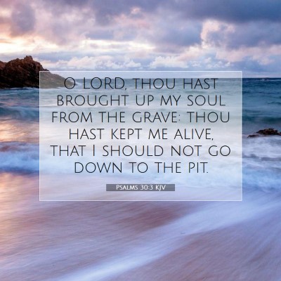 Picture 07 - Psalms 30:3 KJV - O LORD, thou hast brought up my soul from the - Bible Verse Picture