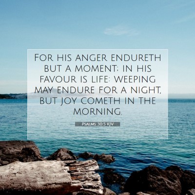 Picture 07 - Psalms 30:5 KJV - For his anger endureth but a moment; in his - Bible Verse Picture