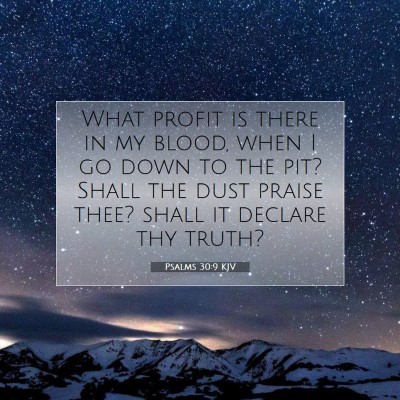 Picture 07 - Psalms 30:9 KJV - What profit is there in my blood, when I go down - Bible Verse Picture
