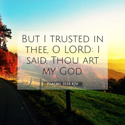 Picture 07 - Psalms 31:14 KJV - But I trusted in thee, O LORD: I said, Thou art - Bible Verse Picture
