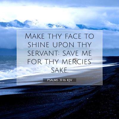 Picture 07 - Psalms 31:16 KJV - Make thy face to shine upon thy servant: save me - Bible Verse Picture