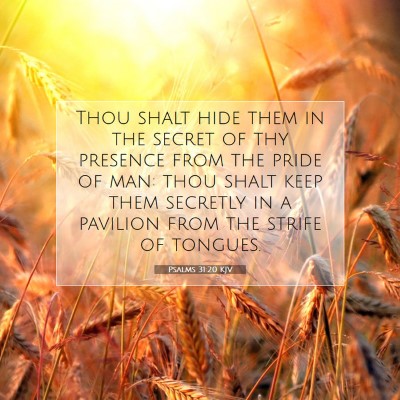 Picture 07 - Psalms 31:20 KJV - Thou shalt hide them in the secret of thy - Bible Verse Picture