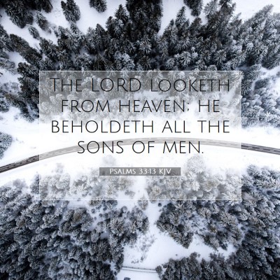 Picture 07 - Psalms 33:13 KJV - The LORD looketh from heaven; he beholdeth all - Bible Verse Picture