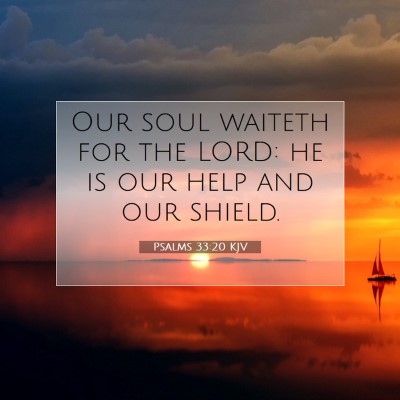 Picture 07 - Psalms 33:20 KJV - Our soul waiteth for the LORD: he is our help and - Bible Verse Picture