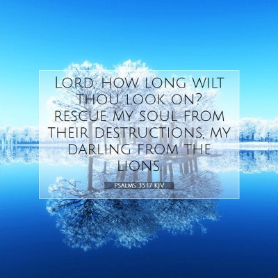 Picture 07 - Psalms 35:17 KJV - Lord, how long wilt thou look on? rescue my soul - Bible Verse Picture