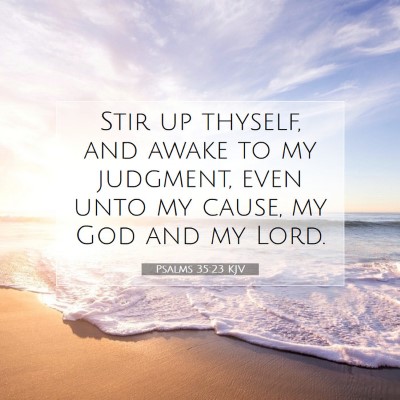 Picture 07 - Psalms 35:23 KJV - Stir up thyself, and awake to my judgment, even - Bible Verse Picture