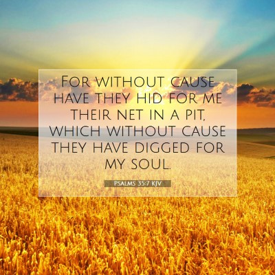 Picture 07 - Psalms 35:7 KJV - For without cause have they hid for me their net - Bible Verse Picture
