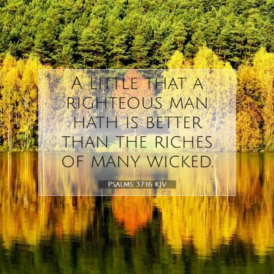 Picture 07 - Psalms 37:16 KJV - A little that a righteous man hath is better than - Bible Verse Picture
