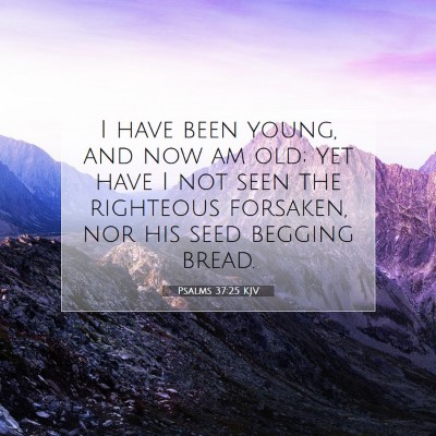 Picture 07 - Psalms 37:25 KJV - I have been young, and now am old; yet have I not - Bible Verse Picture