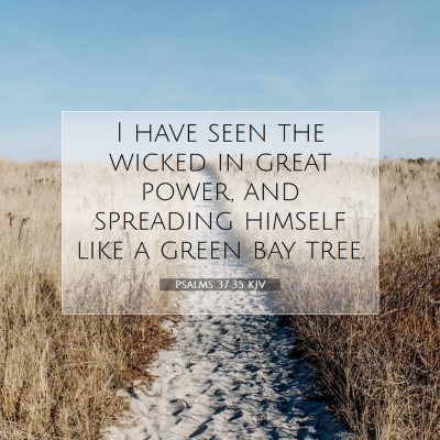 Picture 07 - Psalms 37:35 KJV - I have seen the wicked in great power, and - Bible Verse Picture