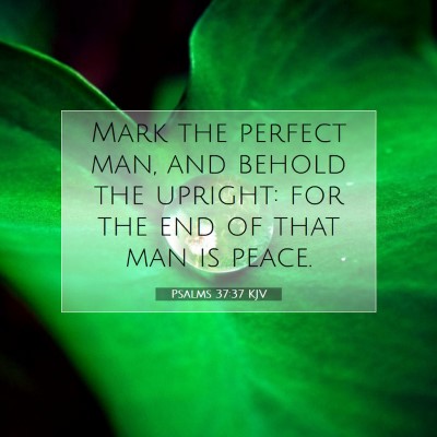 Picture 07 - Psalms 37:37 KJV - Mark the perfect man, and behold the upright: for - Bible Verse Picture