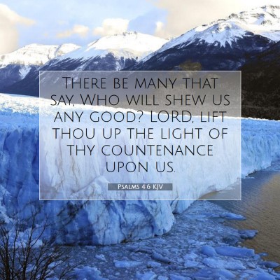 Picture 07 - Psalms 4:6 KJV - There be many that say, Who will shew us any - Bible Verse Picture