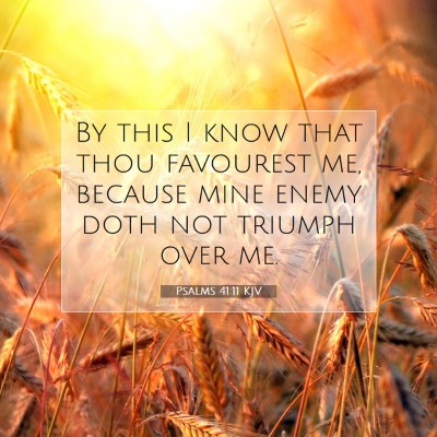 Picture 07 - Psalms 41:11 KJV - By this I know that thou favourest me, because - Bible Verse Picture