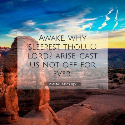 Picture 07 - Psalms 44:23 KJV - Awake, why sleepest thou, O Lord? arise, cast us - Bible Verse Picture