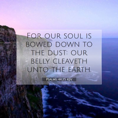 Picture 07 - Psalms 44:25 KJV - For our soul is bowed down to the dust: our belly - Bible Verse Picture