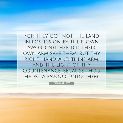 Picture 07 - Psalms 44:3 KJV - For they got not the land in possession by their - Bible Verse Picture
