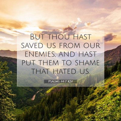 Picture 07 - Psalms 44:7 KJV - But thou hast saved us from our enemies, and hast - Bible Verse Picture