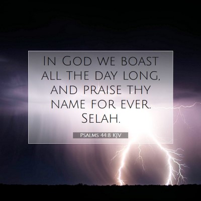 Picture 07 - Psalms 44:8 KJV - In God we boast all the day long, and praise thy - Bible Verse Picture